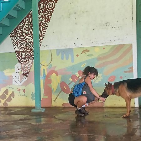 Finca Magdalena Eco Lodge Balgue エクステリア 写真