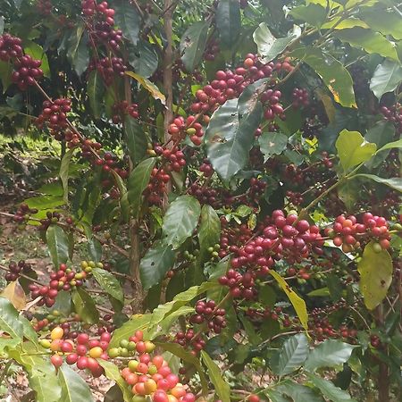 Finca Magdalena Eco Lodge Balgue エクステリア 写真