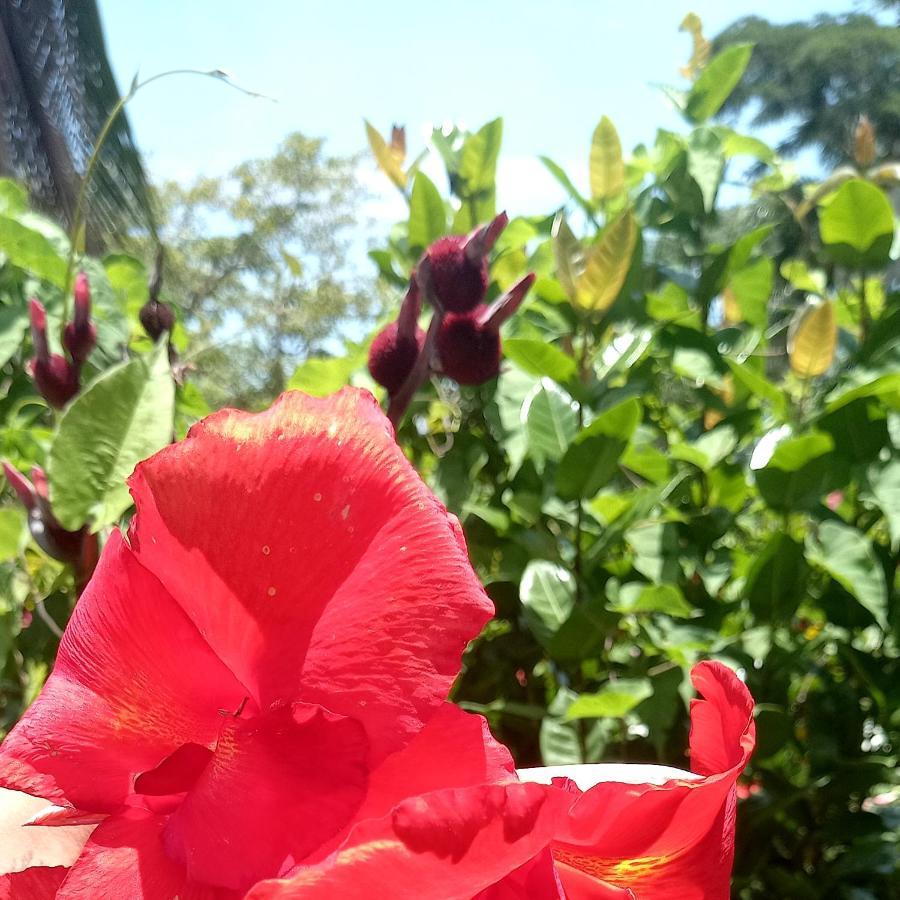 Finca Magdalena Eco Lodge Balgue エクステリア 写真