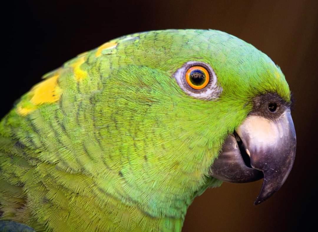 Finca Magdalena Eco Lodge Balgue エクステリア 写真
