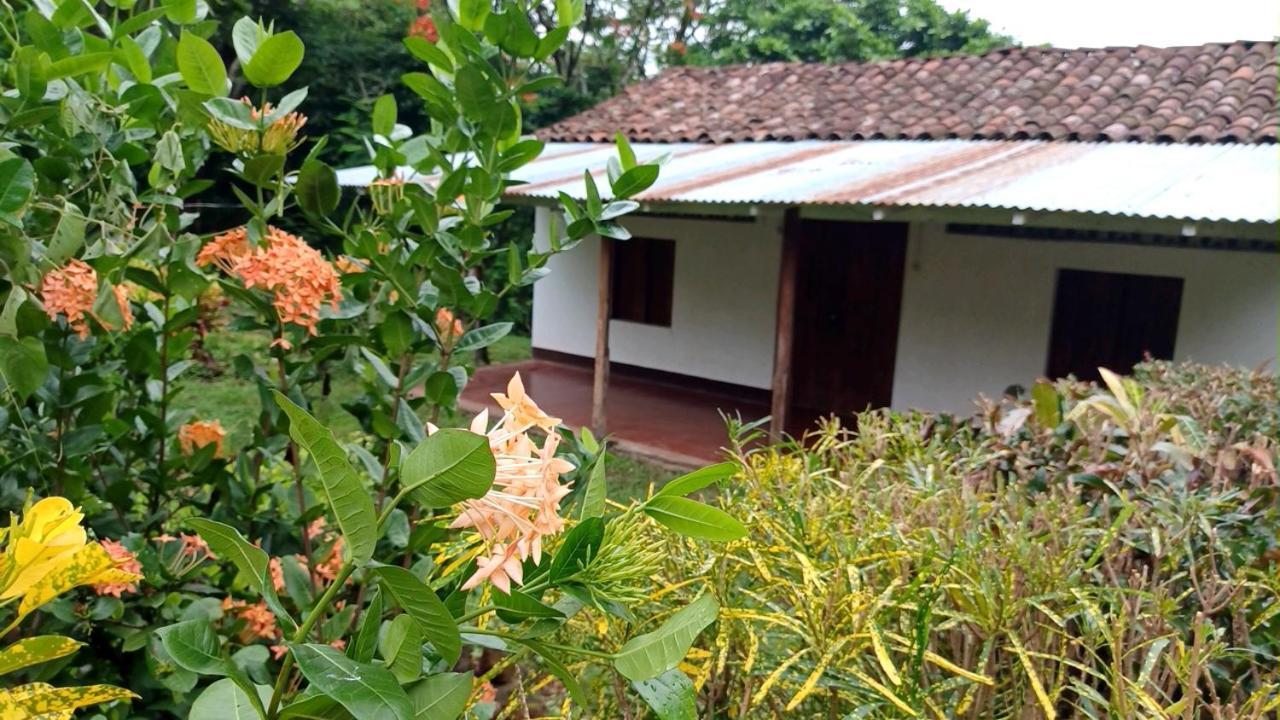 Finca Magdalena Eco Lodge Balgue エクステリア 写真