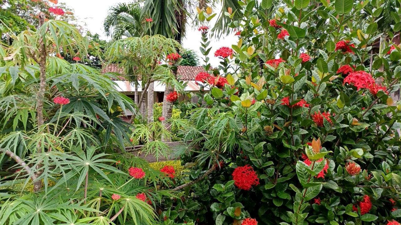 Finca Magdalena Eco Lodge Balgue エクステリア 写真