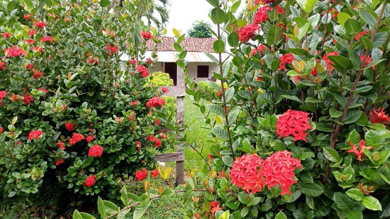 Finca Magdalena Eco Lodge Balgue エクステリア 写真