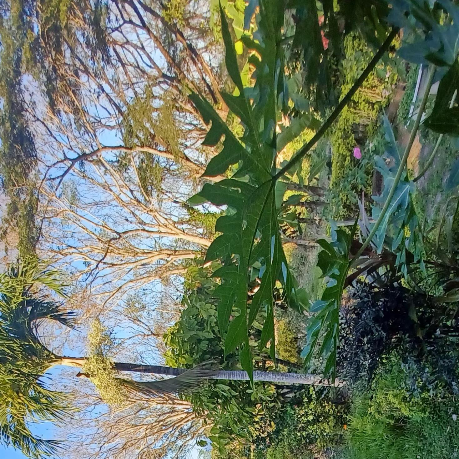 Finca Magdalena Eco Lodge Balgue エクステリア 写真