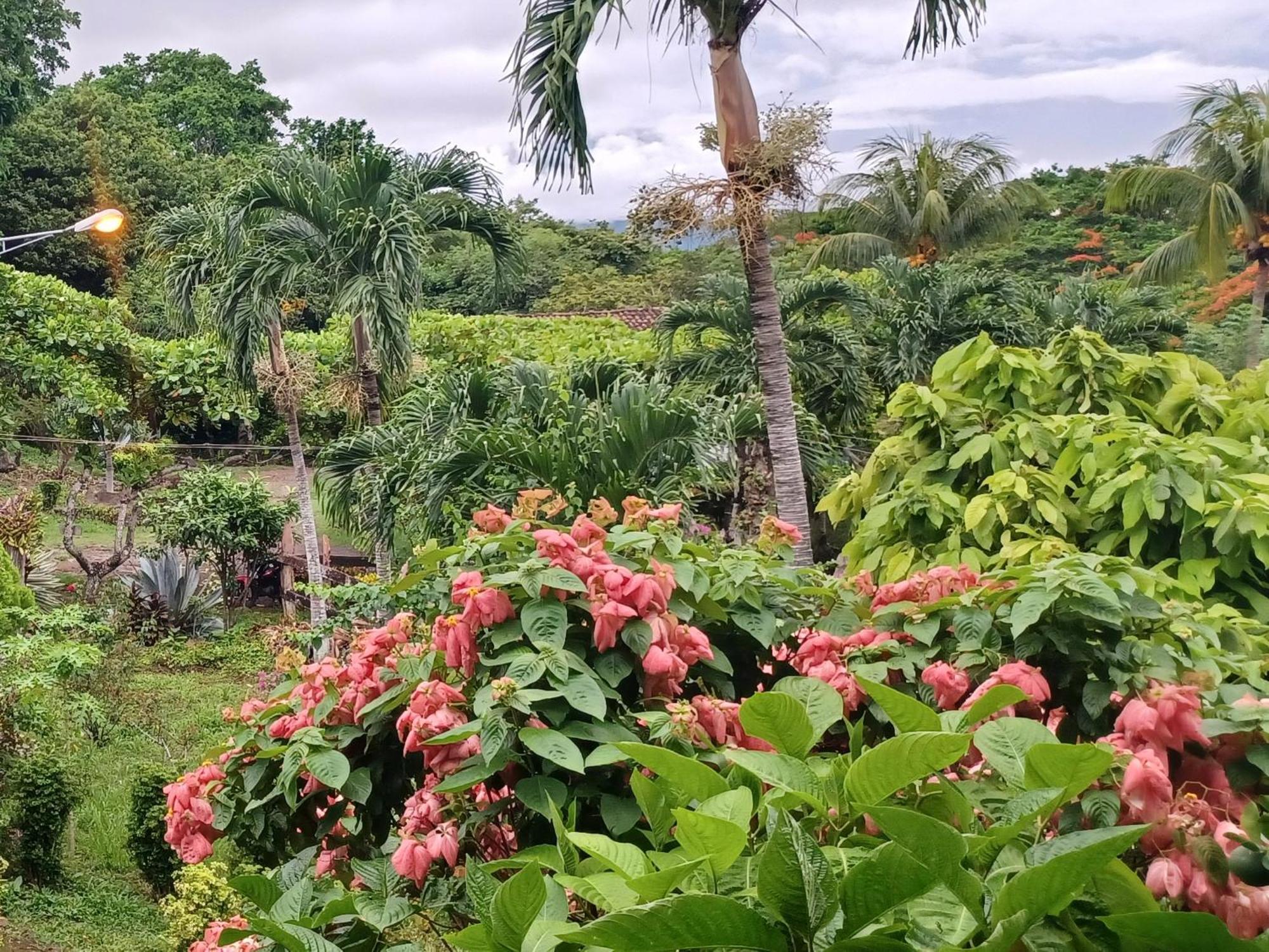 Finca Magdalena Eco Lodge Balgue 部屋 写真
