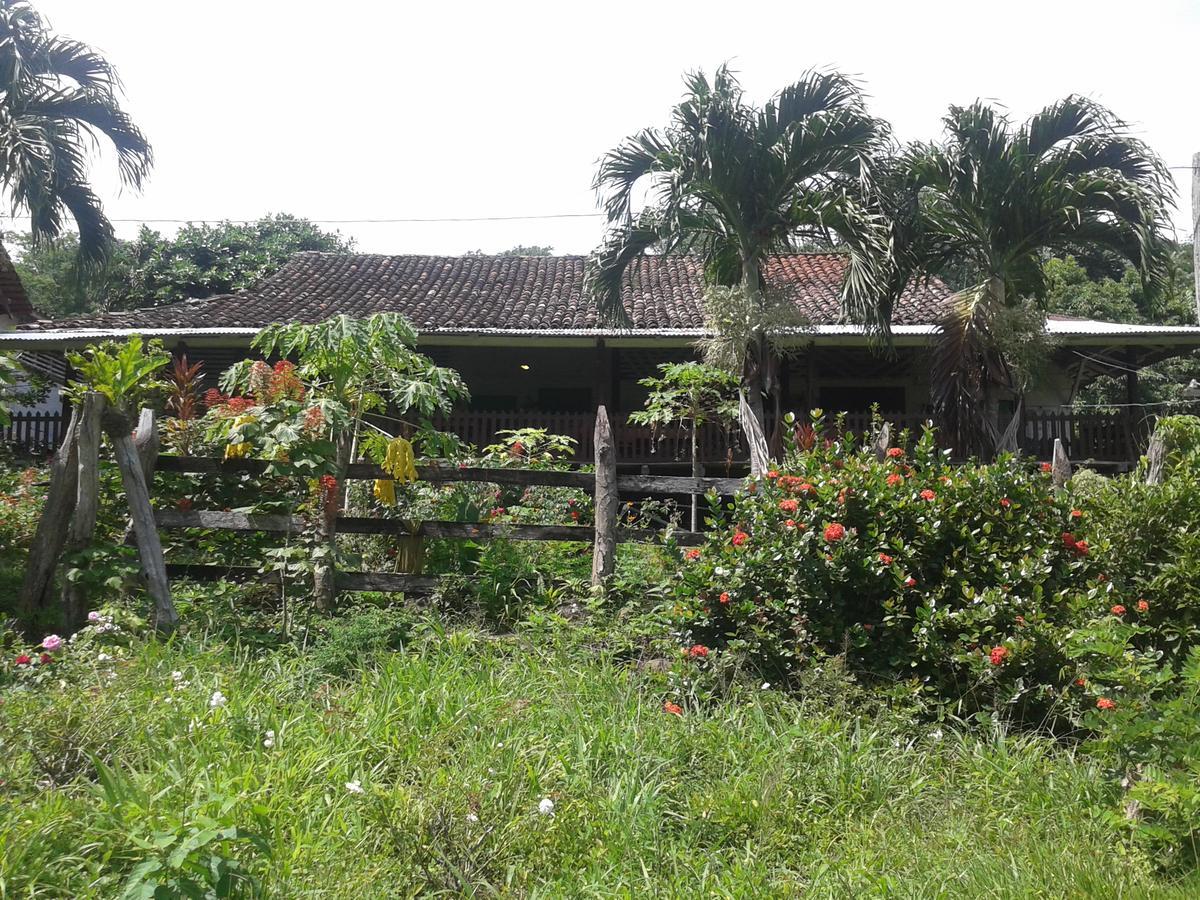 Finca Magdalena Eco Lodge Balgue エクステリア 写真